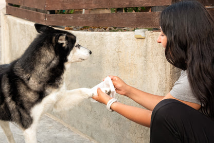 What can I use dog wipes for?